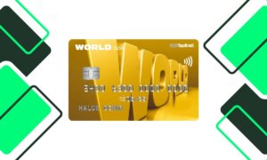 Yapı Kredi World Gold